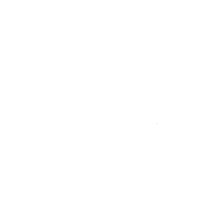 auto-vermietung.net logo weiß auf transparent